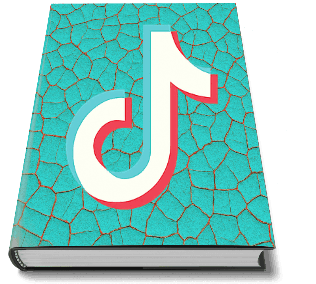 TikTok Book